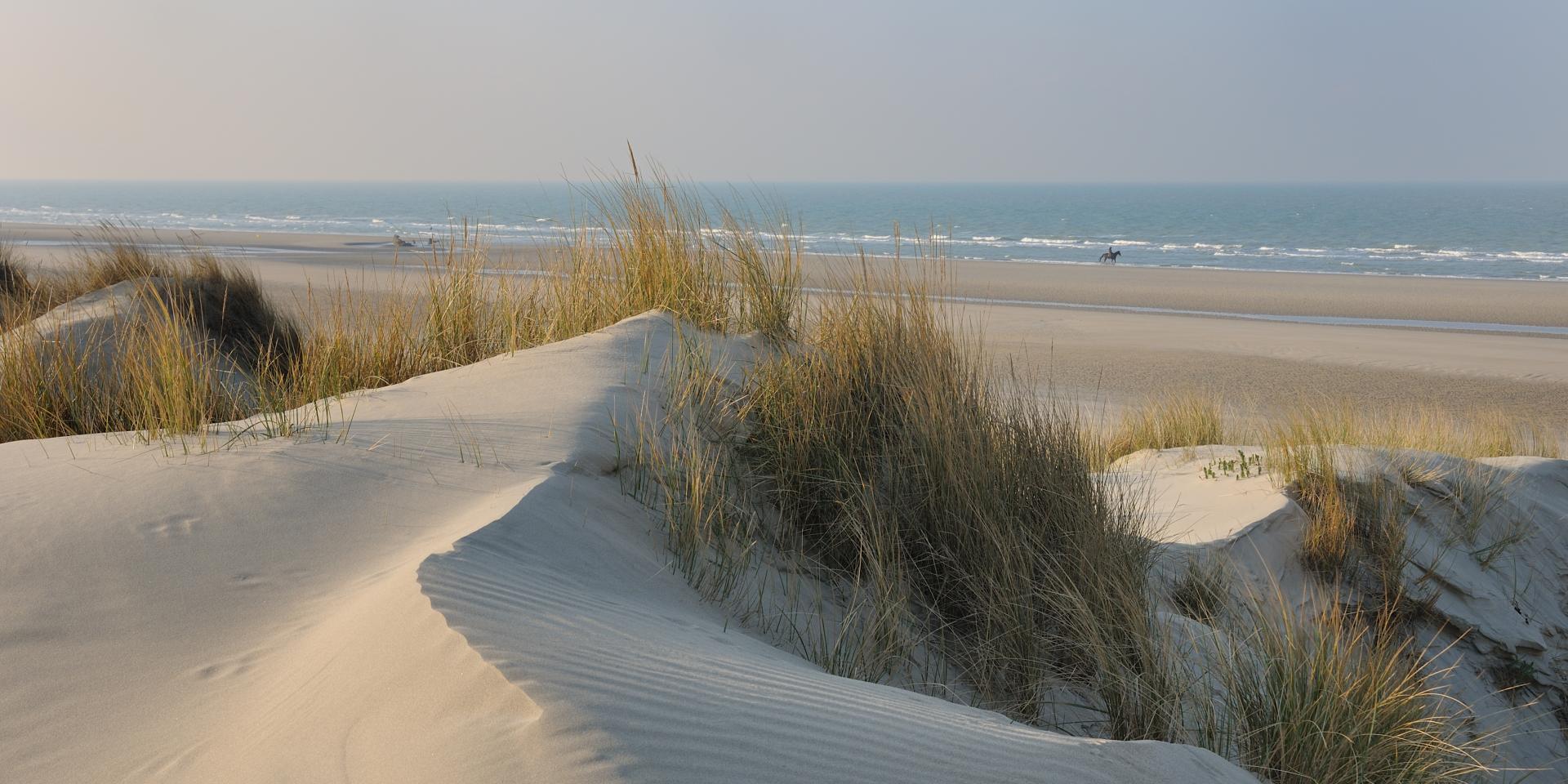 Nature Dunkerque Tourisme