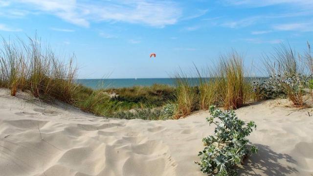 Dunes de Flandre