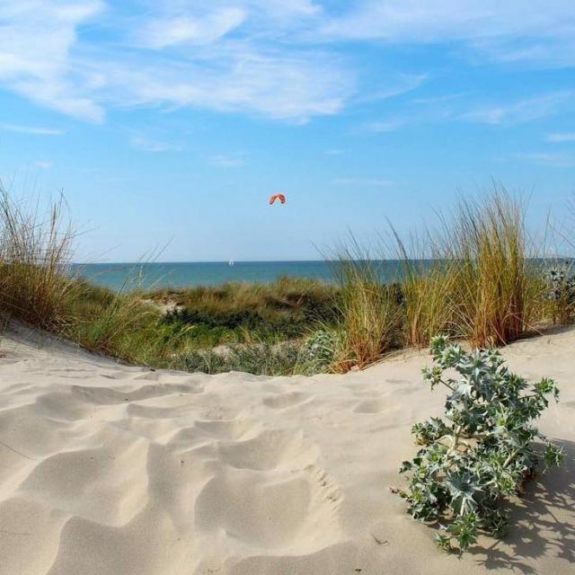 Dunes de Flandre