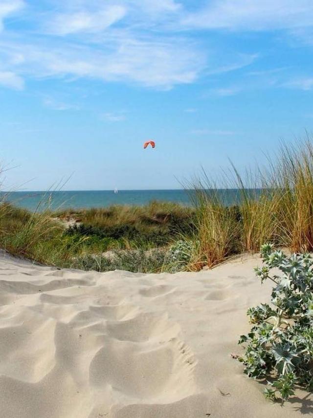 Dunes de Flandre