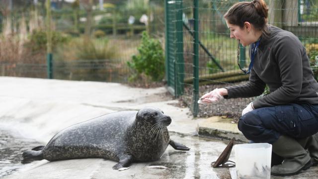 Parc zoologique de Fort-Mardyck