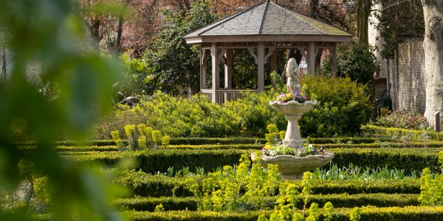 Nature Jardin De La Liberté 1