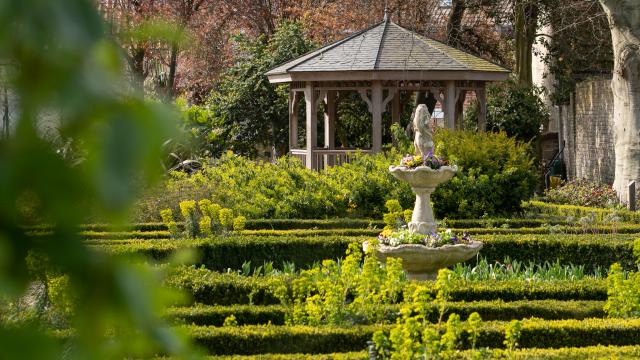 Nature Jardin De La Liberté 1