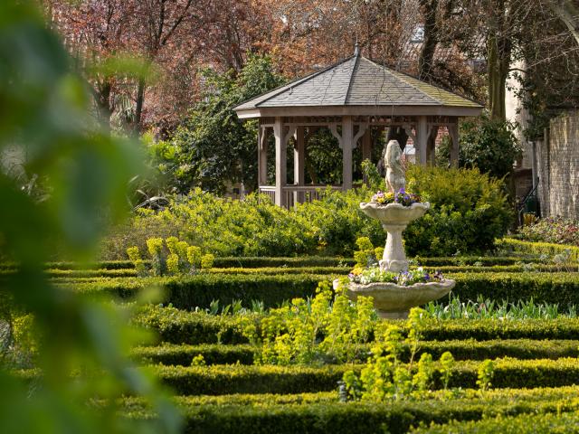 Nature Jardin De La Liberté 1