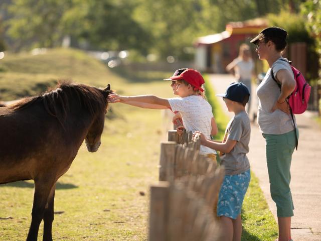 Parc Galame cheval