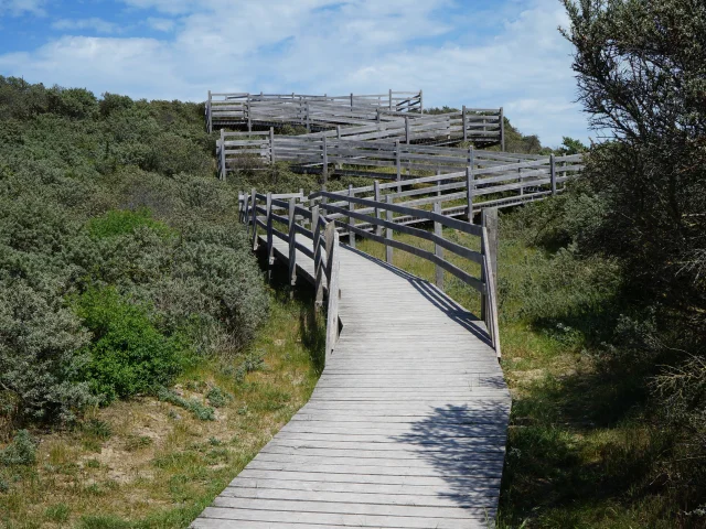 Réserve Naturelle Nationale Du Platier D'Oye (14)