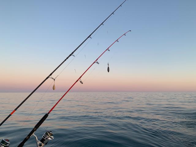 Pêche Dunkerque