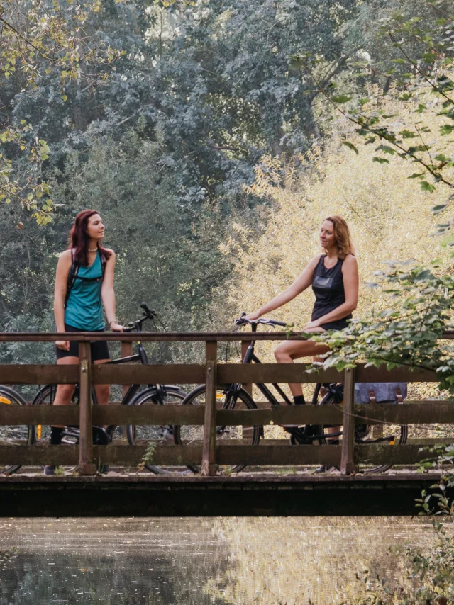 Vélo - Bois des Forts