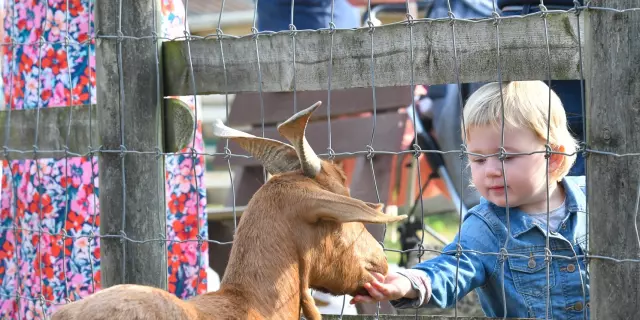 Centre Equestre Gravelines Enfant Ville De Gravelines